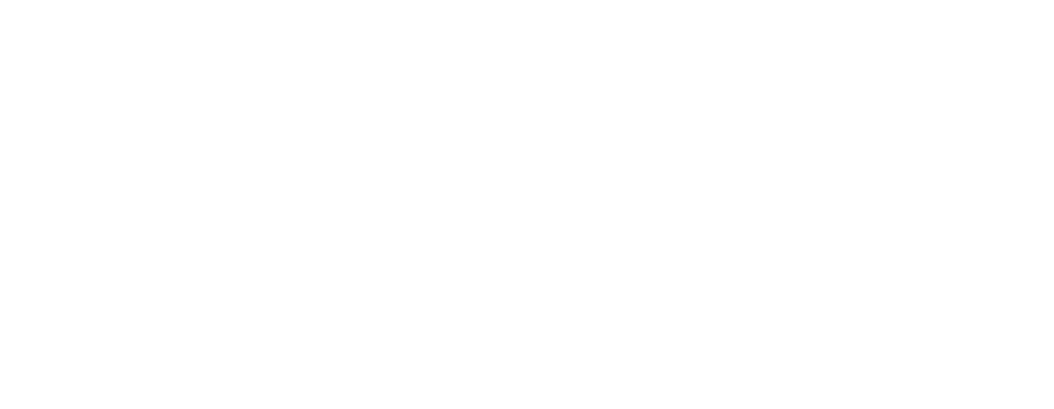 Leo Bikes